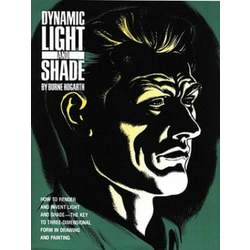 Dynamic Light and Shade