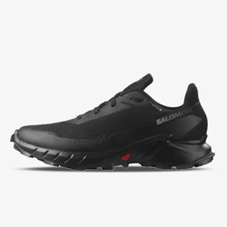 Salomon Alphacross 5 Gtx