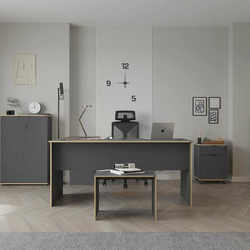 HANAH HOME Radni sto Rms 320 Ax 1