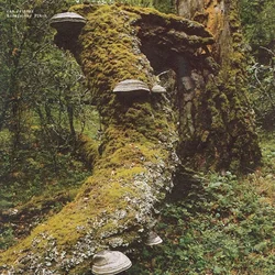 Jan Jelinek - Kosmischer Pitch (Reissue) (LP)