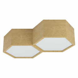Eglo 98861 - Plafonsko svetlo MIRLAS 2xE27/9W/230V