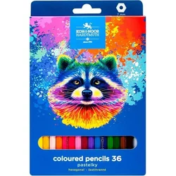Koh-I-Noor Set drvenih bojica Racoon 3555, 36 komada