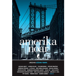 Amerika noar
