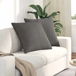 Jastučići za sofu 2 pcs Svijetlo siva 60 x 60 cm