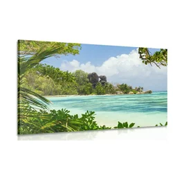 Slika čudovita plaža na otoku La Digue - 40x30