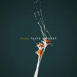 Flox - Taste Of Grey (Orange Coloured) (LP)