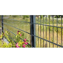 2D Panelna ograda 6x5x6mm, Pocinkovana i plastificirana, 2,5x1,23m, Antracit RAL 7016