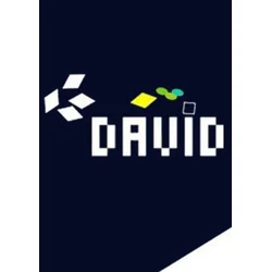 David. Steam Key GLOBAL