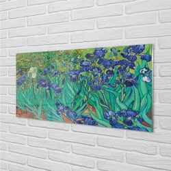 tulup.si Slika na steklu Art rože perunike 100x50 cm 2 obešalnika