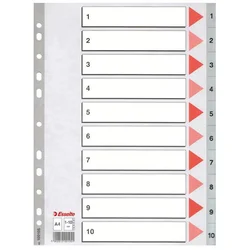 Esselte pregradni karton 1-10 A4 PP, siv (10)
