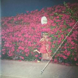 Feist ?– Pleasure,