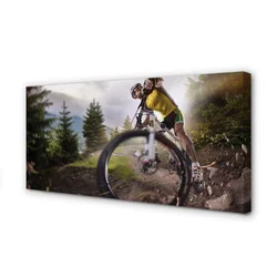 tulup.si Slika na platnu Cloud gorsko kolo 125x50 cm