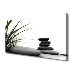 tulup.si Slika na platnu Grass grafike 100x50 cm