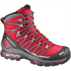 SALOMON ženski pohodni čevlji COSMIC 4D 2 GTX W 128404