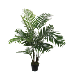 MICA palma v zelenem loncu AREKA (120x60cm)