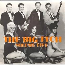 Various Artists - Big Itch, Vol. 5 (LP)