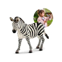 Schleich Schleich Wild Life - Samica zebre, figurica za otroke 3+