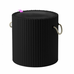 Keter Tabure frigo Cool Stool 39L, grafit
