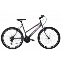 CAPRIOLO PASSION MAN L 26 sivo