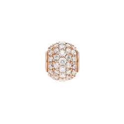 Daniel Wellington Charms