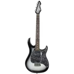 Peavey Raptor Custom Silverburst električna gitara