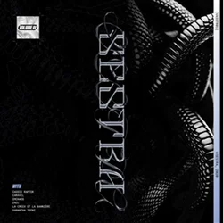 Various Artists - VASSTR01 - Volume 1 (LP)