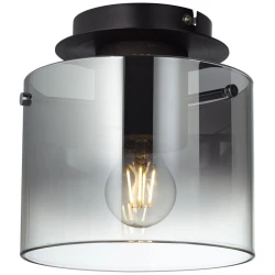 Brilliant - Plafonsko svetlo BETH 1xE27/60W/230V prečnik 20 cm crna/zadimljeno