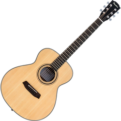 Pasadena PT-100 Natural Akustična kitara
