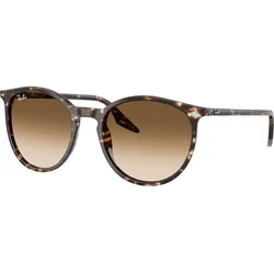 Ray-Ban Naočare za sunce RB 2204 143151