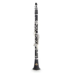 Roy Benson Bb-Klarinet CB-317