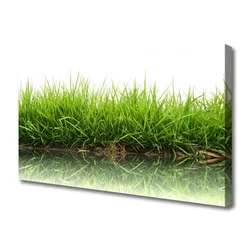 tulup.si Slika na platnu Grass nature voda rastlin 140x70 cm