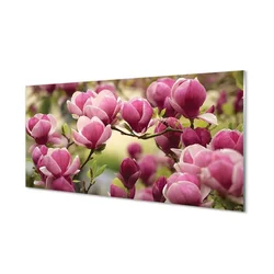 tulup.si Steklena slika Drevesa 100x50 cm 2 obešalnika