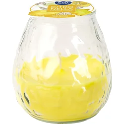 BISPOL Citronella Baštanska sveća protiv insekata 200g