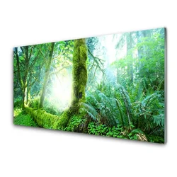 tulup.si Steklena slika Forest moss narava 125x50 cm 2 obešalnika