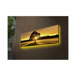WALLXPERT 3090DACT 68