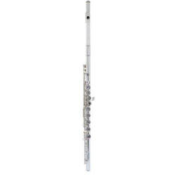 Flavta PS 601 BEF Sonare Powell