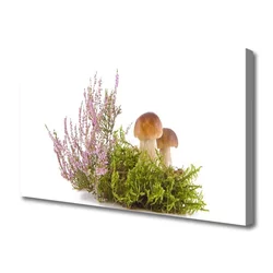 tulup.si Slika na platnu Rastlinski gobe narava 100x50 cm