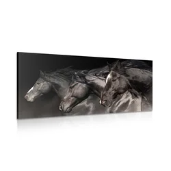 Slika trije konji v galopu - 80x40