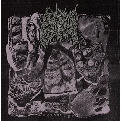 Strup - Abyssurge (LP)