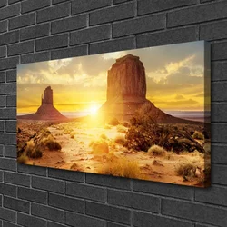 tulup.si Slika na platnu Desert sun landscape 100x50 cm