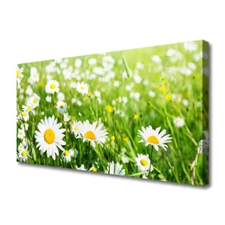 tulup.si Slika na platnu Daisy flower rastlin 100x50 cm