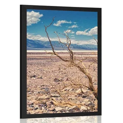 Plakat sušna pokrajina - 20x30 no frame