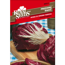 SEME ROYAL SEEDS 212 Radič prezimni Verona