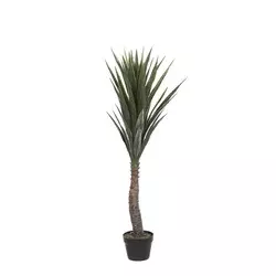 YUCCA UV ODPORNA V.:120cm