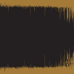 24 Carat Black - III (Champagne Wave Coloured) (LP)