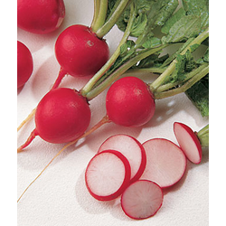 REDKVICA SAXA 2 BIG PACK 20gr
