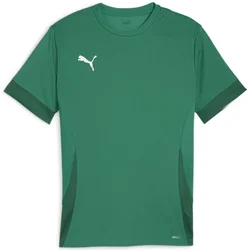 Dre Puma teamGOAL Matchday Jerey