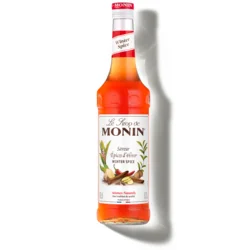 Monin Sirup Winter Spice, 0.7l