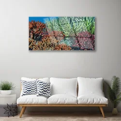 tulup.si Slika na steklu Barrier reef narava 100x50 cm 2 obešalnika