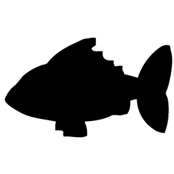 Crna ploča za kredu - Riba